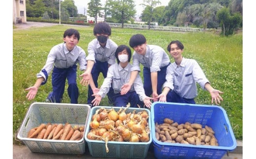 園芸高発 災害備蓄食 「カレーリゾット」10食セット