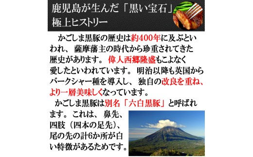 【25-32】鹿児島黒豚100%手作りハンバーグ 110g×4個（冷凍）