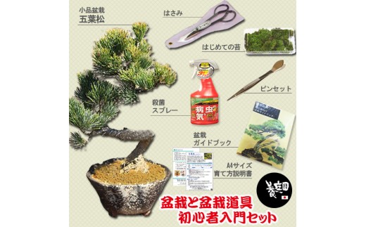 【39-10】 養庄園 盆栽と盆栽道具 初心者入門セット