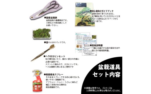【39-10】 養庄園 盆栽と盆栽道具 初心者入門セット