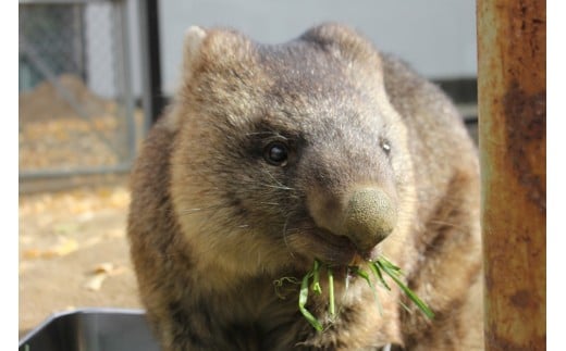 縲24-08縲台コ疲怦螻ア蜍慕黄蝨偵繧ヲ繧ゥ繝ウ繝舌ャ繝医げ繝繧コB繧サ繝繝