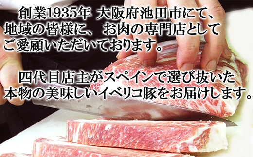 【25-24】イベリコ豚 とんかつ 150g×2個（冷凍）