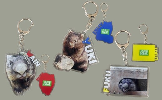 縲24-08縲台コ疲怦螻ア蜍慕黄蝨偵繧ヲ繧ゥ繝ウ繝舌ャ繝医げ繝繧コB繧サ繝繝