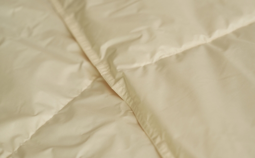 ご家庭で手洗いできる 羽毛肌掛けふとん ダブル（約190×210㎝） | 手洗い可 国産 寝具 布団 ホワイトダックダウン85％ 泉大津市