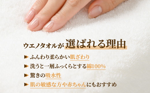 【泉州タオル】片面ガーゼバスタオル 3枚セット（同色） ｜ ガーゼパイル 片面ガーゼ タオル 赤ちゃん ベビー 沐浴 湯上げタオル 敏感肌 優しい 肌触り 薄手 速乾 吸水 綿100% 日本製 出産祝い ギフト ※離島への配送不可