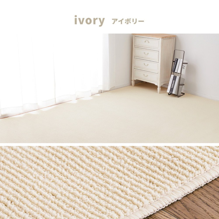 ã«ãŒããã€ã«ã§ãžããã«ããã髿©èœã«ãŒããã ã¹ãã© æ±æžé8åž 1æ 600094