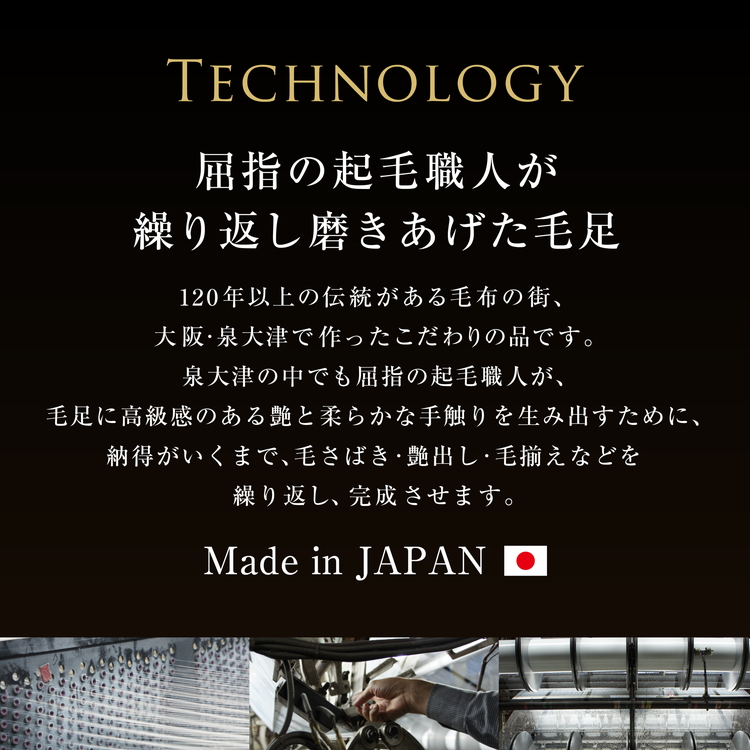 カルドニード・エリート 敷き毛布 ブラウン シングル (100×205cm)【db】 [4215]