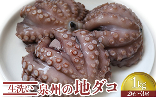 生洗い泉州の地タコ1kg(2尾〜3尾) [0531]