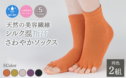 天然の美容繊維 シルク指汗さわやかソックス 同色2組 フリーサイズ H-SO1203X2