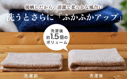 吸水力と肌触りが自慢のデイリーユースフェイスタオル 9枚 [4776]