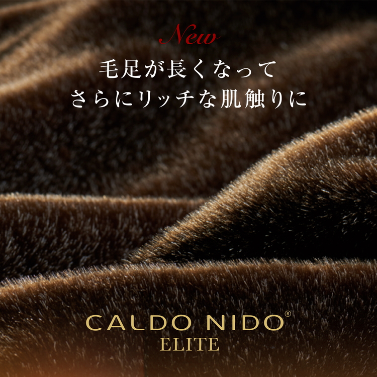 カルドニード・エリート 敷き毛布 ブラウン シングル (100×205cm)【db】 [4215]