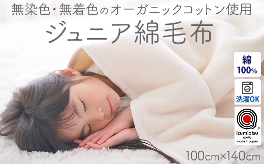 ジュニア綿毛布 (オーガニック綿使用)・毛布の町泉大津市産 [1598]