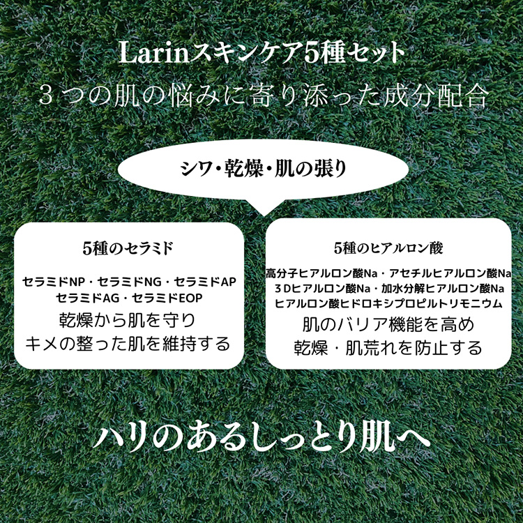 こだわりのスキンケア5種セット（リッチタイプ化粧水、乳液、クリーム、クレンジングミルク、洗顔） ※離島への配送不可