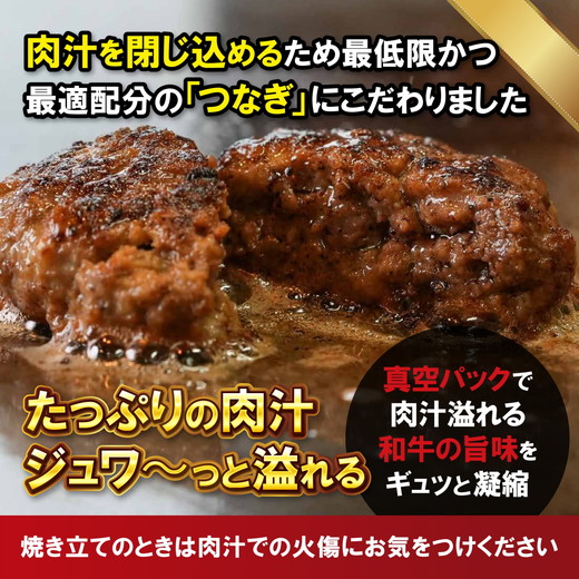 【鉄板焼シェフ】肉汁溢れる牛肉ハンバーグ20個入