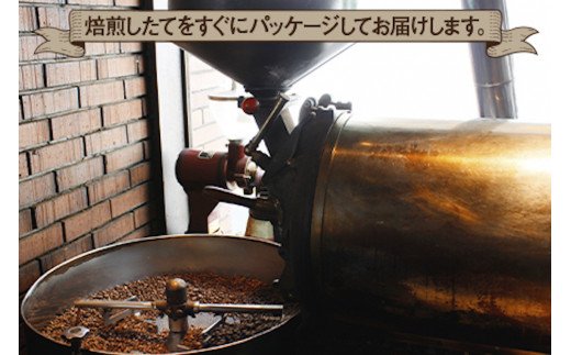 《プランタン珈琲商会 自家焙煎レギュラーコーヒー》プランタンブレンド 300g×2袋入り (豆のまま) 当社で焙煎仕立てのコーヒー豆をお届け！ [1626]