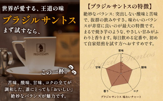 《プランタン珈琲商会 自家焙煎レギュラーコーヒー》 ブラジルサントス 300g×2袋入り(豆のまま) 当社で焙煎仕立てのコーヒー豆をお届け！ [1640]
