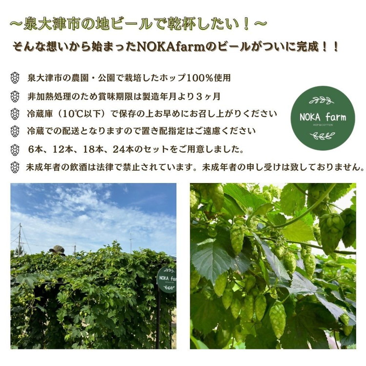 イズミ002クラフトビール ペールエール 330ml×6本 ※2025年2月上旬～3月下旬頃に順次発送 ※離島への配送不可