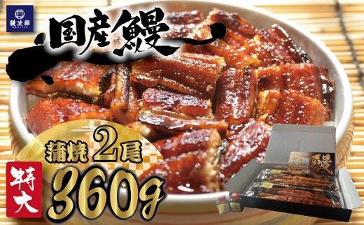 [特大] 国産 関西風地焼き うなぎ【蒲焼】2尾 360g以上 ｜ うなぎ 泉大津 鰻 蒲焼き 冷凍鰻 活鰻 鰻次郎 うな重 土用の丑の日 お取り寄せ 贈り物 ギフト 高級 うなぎの日 ウナギ unagi [4694] ※離島への配送不可