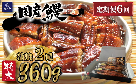 【定期便6ヶ月】 [特大] 国産 関西風地焼き うなぎ【蒲焼】2尾 360g以上 ｜ うなぎ 泉大津 鰻 蒲焼き 冷凍鰻 活鰻 鰻次郎 うな重 土用の丑の日 お取り寄せ 高級 うなぎの日 ウナギ unagi ※離島への配送不可