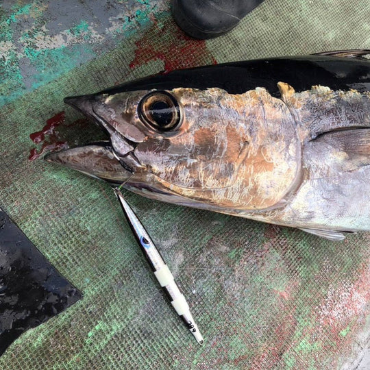 ãã£ãã·ã³ã°ããã¯ã¹ãéçºãããå®å
šçŸå ŽèŠç¹ã®ã«ã¢ãŒãã©ã³ããAZZURROãã®ãè¿æµ·ãšãªã¢ãã¹ããŒãã£ãŒã«ãµãŒãå¯èœãªäžèœã¡ã¿ã«ãžã°ãããã«ã200gã2æ¬ã»ãã