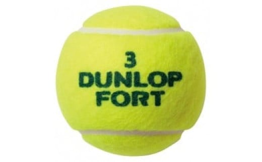 テニスボール　FORT　イエロー　１２０球