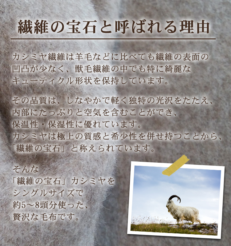 【Mother Warm】ふわっととろける　カシミヤ100%毛布　『ハーフ』CS-2120