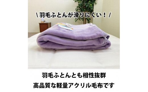 幸せの紫毛布 新合繊マイヤー毛布 シングル (ニューマイヤー) ラヴェンダー色 KM12000 [1452]
