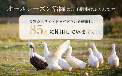 ご家庭で手洗いできる 羽毛肌掛けふとん シングル（約150×210㎝） | 手洗い可 国産 寝具 布団 ホワイトダックダウン85％ 泉大津市