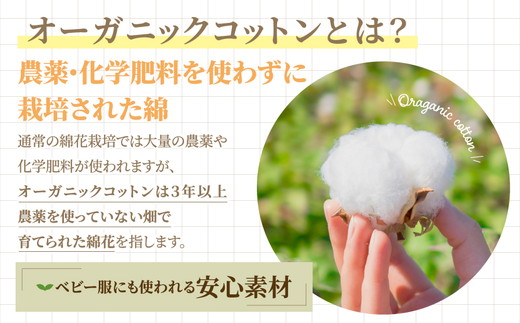 繧縺輔@縺閧瑚ァヲ繧翫ョ繧ェ繝シ繧ャ繝九ャ繧ッ繧ウ繝繝医Φ 繝ュ繝ウ繧ー繝輔ぉ繧、繧ケ繧ソ繧ェ繝ォ 逕滓舌j 6譫