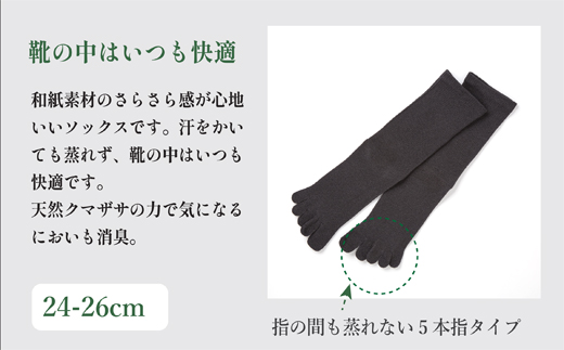SASAWASHI 繝。繝ウ繧コ5譛ャ謖髱エ荳具シ24ス26cmシ3濶イ邨