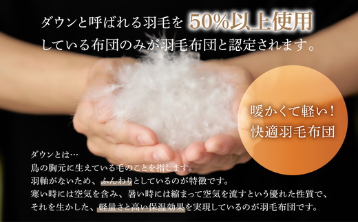 ご家庭で手洗いできる 羽毛肌掛けふとん シングル（約150×210㎝） | 手洗い可 国産 寝具 布団 ホワイトダックダウン85％ 泉大津市