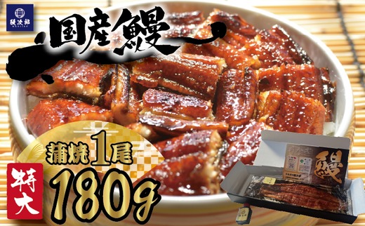 [特大] 国産 関西風地焼き うなぎ【蒲焼】1尾 180g以上 ｜ うなぎ 泉大津 鰻 蒲焼き 冷凍鰻 活鰻 鰻次郎 うな重 土用の丑の日 お取り寄せ 高級 うなぎの日 ウナギ unagi ※離島への配送不可