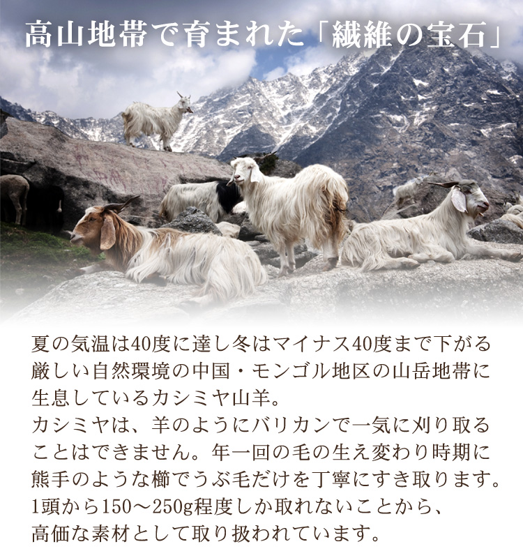 ãMother Warmããµãã£ãšãšããããã«ã·ãã€100%æ¯åžããã·ã³ã°ã«ãCS-2220