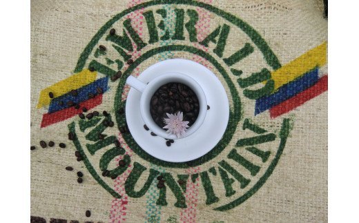 [自家焙煎レギュラーコーヒー] キリマジャロブレンド 400g×2袋入り(中挽き) 当社で焙煎仕立てのコーヒー豆をお届け！ [1308]