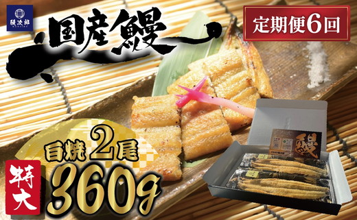 【定期便6ヶ月】[特大] 国産 関西風地焼き うなぎ【白焼】 2尾 360g以上 ｜ うなぎ 泉大津 鰻 蒲焼き 冷凍鰻 活鰻 鰻次郎 うな重 土用の丑の日 お取り寄せ 高級 うなぎの日 ウナギ unagi ※離島への配送不可