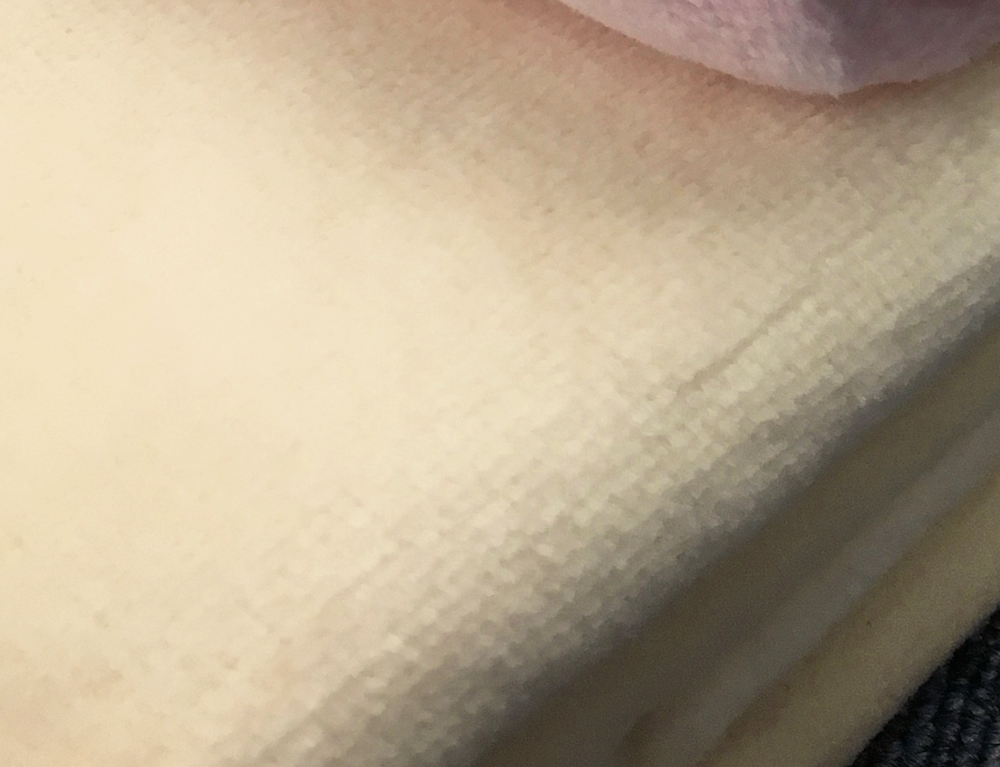 泉大津市産 マイヤー綿毛布 (ニューマイヤー毛布) シングル クリーム 1枚 81710CR [3623]
