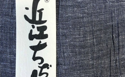 銘仙版 座布団 2枚組 溢れる涼感 近江ちぢみのカバー付 [1785]