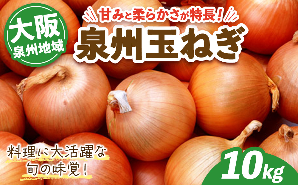 泉州玉ねぎ 10kg | 野菜 やさい 伝統野菜 泉州玉ねぎ たまねぎ 玉葱 ネギ 産地直送 大阪府 泉大津市 ※2026年7月〜発送 泉州地域で生産された玉ねぎ