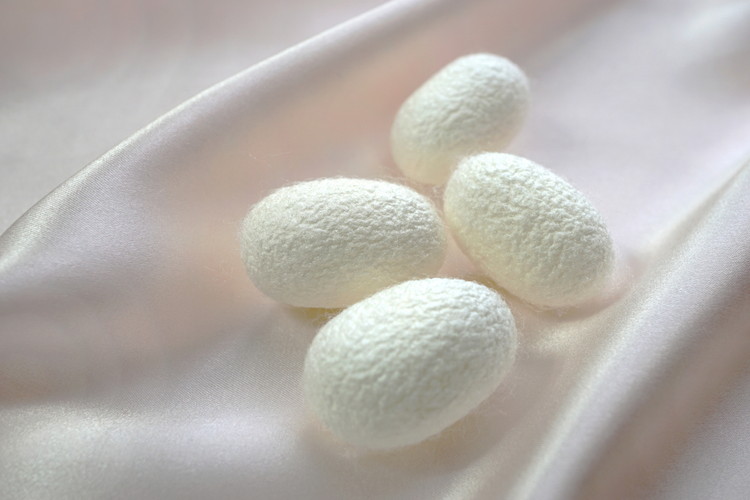 天然の美容繊維 シルク混5本指ソックス 同色2組 フリーサイズ H-SO1200X2