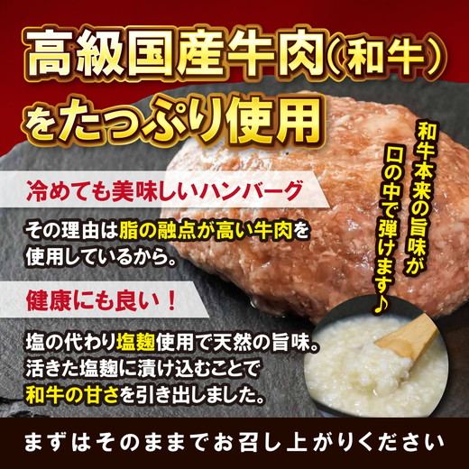 【鉄板焼シェフ】肉汁溢れる牛肉ハンバーグ20個入