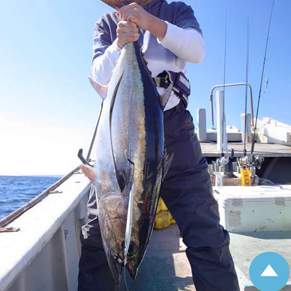 ãã£ãã·ã³ã°ããã¯ã¹ãéçºãããå®å
šçŸå ŽèŠç¹ã®ã«ã¢ãŒãã©ã³ããAZZURROãã®ãã¹ããŒãžã®ã³ã°å¯Ÿå¿ éç©ã¿ããã¿ãŒã³å¿
é ã®ãã³ã°ã¡ã¿ã«ãžã°ãã«ã³ãŽII 190gã2æ¬ã»ãã