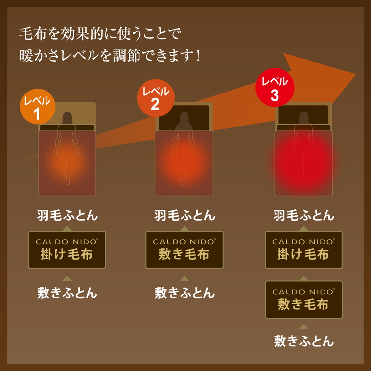 カルドニード・エリート 敷き毛布 ブラウン シングル (100×205cm)【db】 [4215]