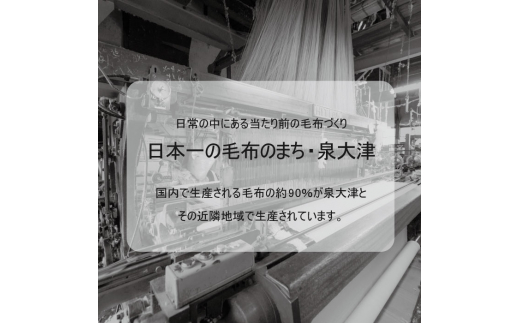 毛布の町 泉大津市産・ベビー毛布 (無地) アイボリー色 N-MM100 [3455]