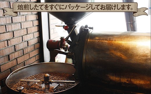 《プランタン珈琲商会 自家焙煎レギュラーコーヒー》 ブラジルサントス 300g×2袋入り(豆のまま) 当社で焙煎仕立てのコーヒー豆をお届け！ [1640]