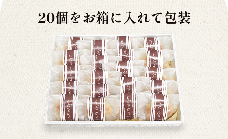 からすの森20個入 あんこパイ 銘菓 焼き菓子《虎屋sweets》[4760]