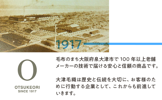 [シングル] 日本製 感湿センサー付 除湿シート (東洋紡「モイスファイン(R)」使用) [1345]