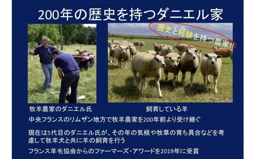 シキボウ 抗ウイルス加工生地を使ったフランス羊毛100%入り 敷パッド シングル アラウール100 [1501]