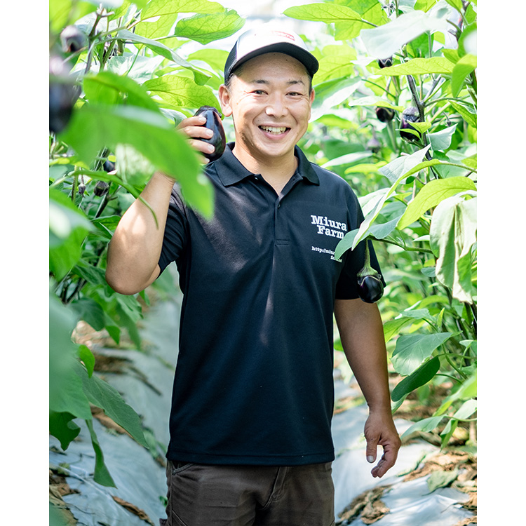 朝採り極上 生水なす 6個セット | 野菜 やさい 茄子 泉州水ナス 新鮮 朝採れ 産地直送 大阪府 泉大津市 ※北海道・沖縄・離島への配送不可