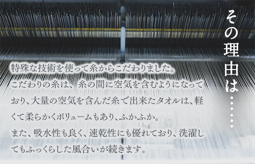 泉州美人 フェイスタオル 同色3枚組（約33×85cm）泉州タオル｜フェイス タオル 高級 極上 柔らか ふわふわ はだざわり 肌触り 無地 ホワイト 白 風呂 洗顔 スポーツ プール 新生活 引越し コットン 綿 100％ 国産 大阪 泉大津