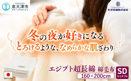 エジプト超長綿 綿毛布 セミダブル 160×200cm C555SD ナチュラル系 [4578]